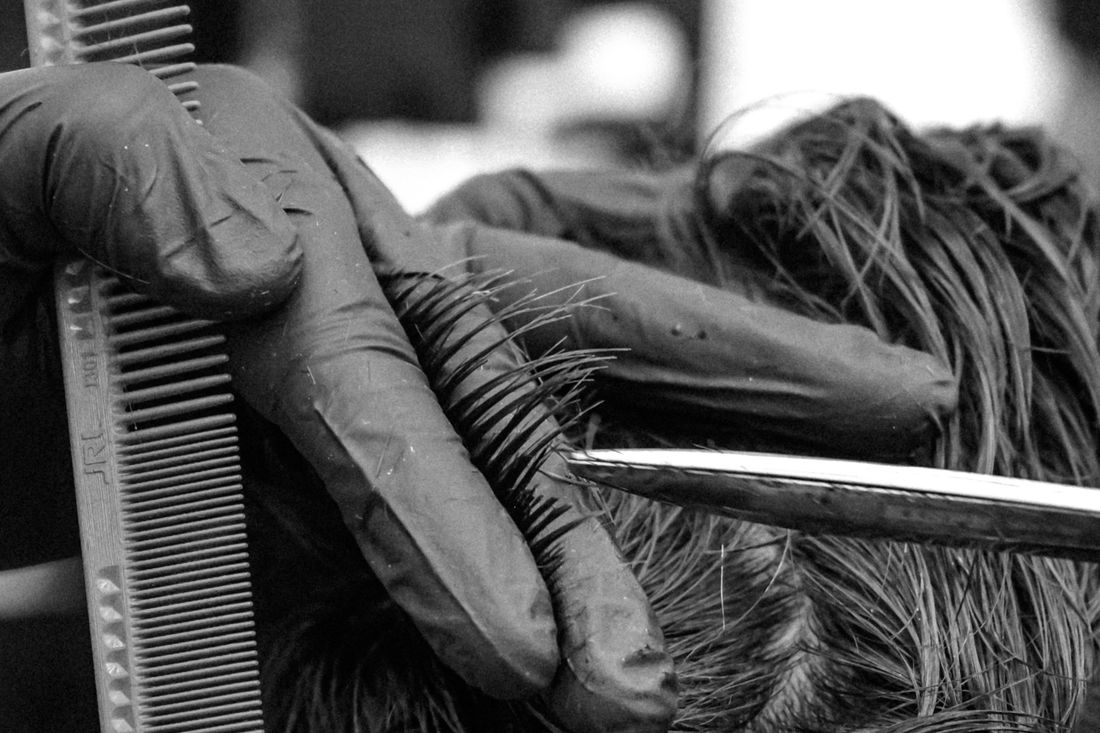 A gloved barber cutting along a comb through a client's hair